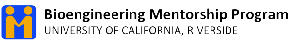 BIEN Mentorship logo